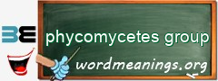 WordMeaning blackboard for phycomycetes group